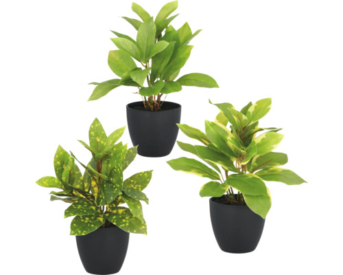 Drei künstliche Pflanzen in schwarzen Töpfen