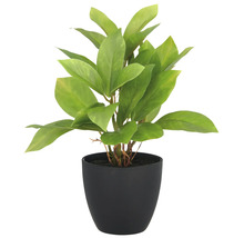 Künstliche Pflanze in einem schwarzen Topf