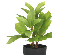 Künstliche Zimmerpflanze im schwarzen Topf