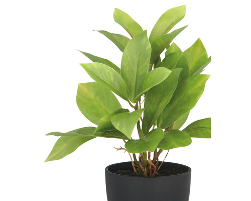 Künstliche Zimmerpflanze im schwarzen Topf