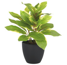 Künstliche Pflanze mit grün-gelben Blättern in einem schwarzen Topf