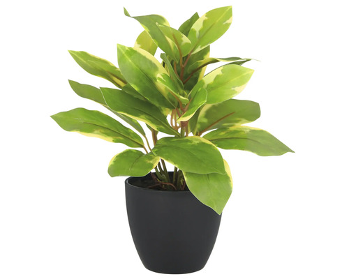 Künstliche Pflanze mit grün-gelben Blättern in einem schwarzen Topf