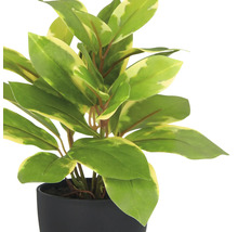 Kunstpflanze in schwarzem Topf mit grünen Blättern