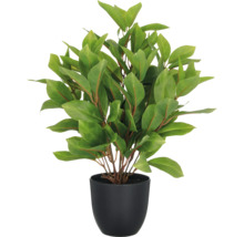 Künstliche Pflanze mit grünen Blättern in schwarzem Topf