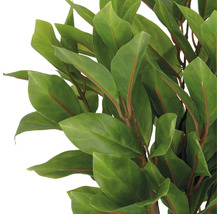 Nahaufnahme von künstlichen Lorbeerblättern.