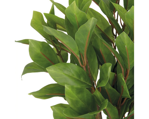 Nahaufnahme von künstlichen Lorbeerblättern.