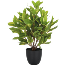 Künstliche Pflanze mit grünen Blättern in einem schwarzen Topf