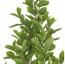 Künstliche Lorbeerpflanze mit grünen Blättern