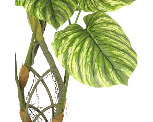 Kunstpflanze mit großen, gemusterten Blättern und Stängeln