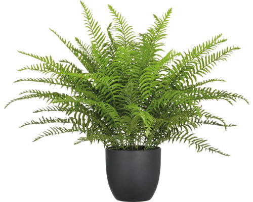 Kunstpflanze Schwertfarn im Topf H 60 cm Kunstpflanze Farn im Topf