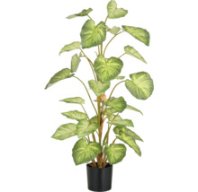 Kunstpflanze mit herzförmigen Blättern im Topf