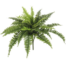 Künstlicher Farn zur Dekoration