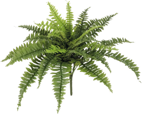 Künstlicher Farn zur Dekoration