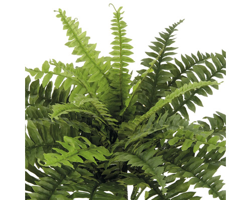Künstlicher Farn für die Inneneinrichtung