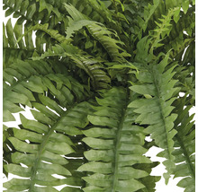 Nahaufnahme eines künstlichen Farns