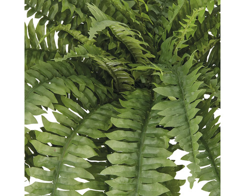 Nahaufnahme eines künstlichen Farns