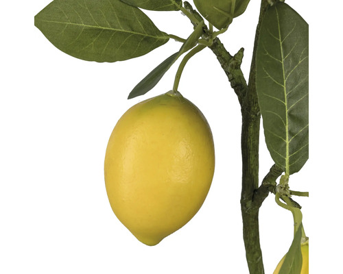 Nahaufnahme einer künstlichen Zitrone am Zweig mit Blättern