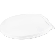 Toilettendeckel aus Kunststoff