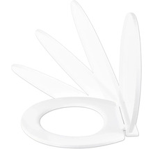 Toilettensitz mit verschiedenen Öffnungswinkeln