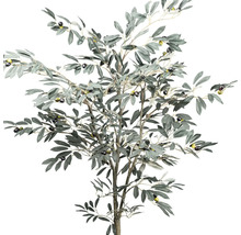Dekorativer Olivenbaum mit Blättern und Oliven