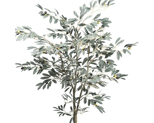 Dekorativer Olivenbaum mit Blättern und Oliven
