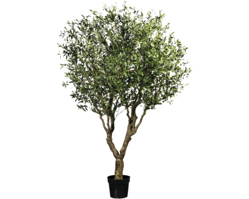 Kunstbaum Olivenbaum mit Früchten im Topf H 240 cm Olivenbaum im Topf für den Innenbereich