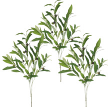 Drei Zweige mit Oliven und grünen Blättern.