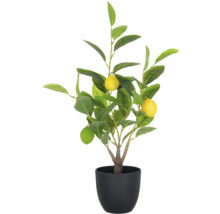 Künstlicher Zitronenbaum im Topf als Dekoration