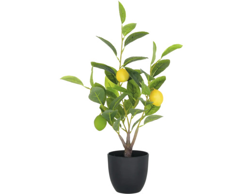Künstlicher Zitronenbaum im Topf als Dekoration