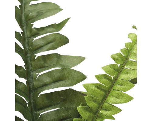 Nahaufnahme von künstlichen Farnblättern