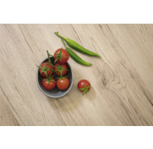 Tomatenzweig in Schale mit grünen Chilischoten