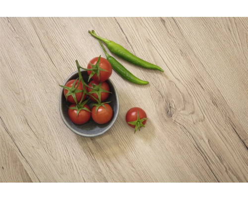 Tomatenzweig in Schale mit grünen Chilischoten