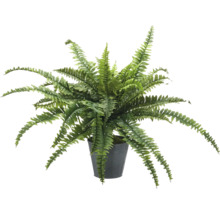 Künstlicher Farn in einem Topf als Dekoration