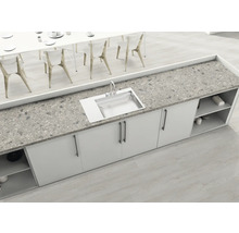 Küchenspüle aus Edelstahl mit Arbeitsplatte und Unterbauschränken