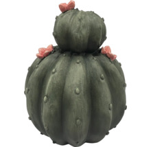 Dekorativer Kaktus mit Blüten für den Außenbereich