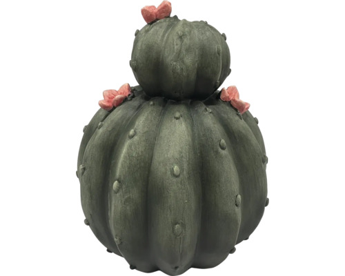 Dekorativer Kaktus mit Blüten für den Außenbereich
