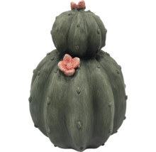 Dekorativer Kaktus für den Innenbereich