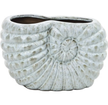 Dekorative Pflanzschale in Schneckenform