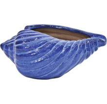 Blauer Übertopf in Form einer Muschel