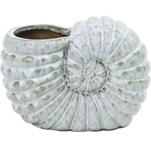 Blumentopf in Form einer Ammoniten-Fossile