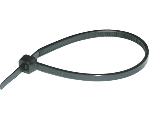 Kabelbinder aus Kunststoff