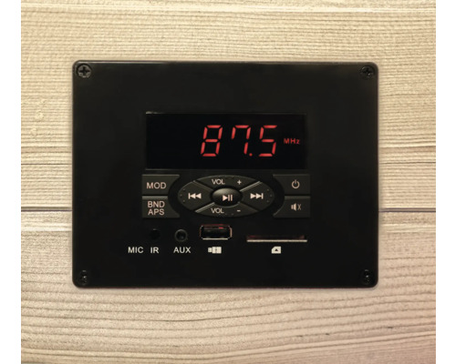 Schwarzes Audiomodul mit digitaler Anzeige und Bedienelementen.