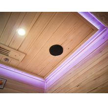 Decke einer Sauna mit Beleuchtung, Lautsprecher und Lüftung