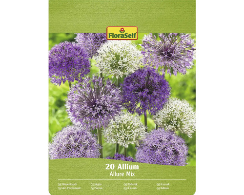 Blumenzwiebel Zierlauch FloraSelf 'Allium Deco' 20 Stück Packung Zierlauch Allium Allure Mix mit FloraSelf Logo