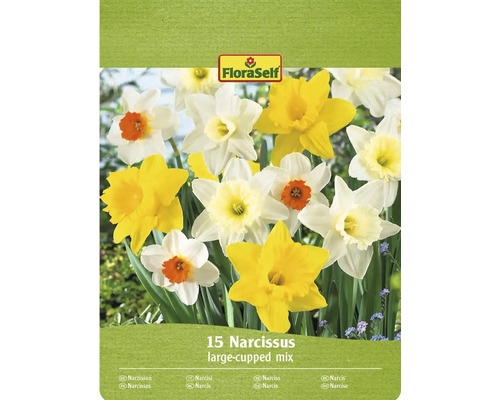Verpackung Narzissen Mischung mit 15 Blumenzwiebeln