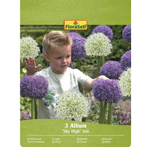 Verpackung von 3 Allium 'Sky High' Mischzwiebeln mit FloraSelf Logo