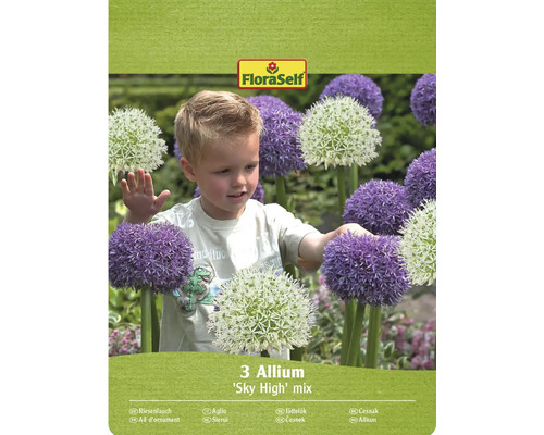 Blumenzwiebel Zierlauch FloraSelf '"Sky High" Mischung' 3 Stück Verpackung von 3 Allium 'Sky High' Mischzwiebeln mit FloraSelf Logo