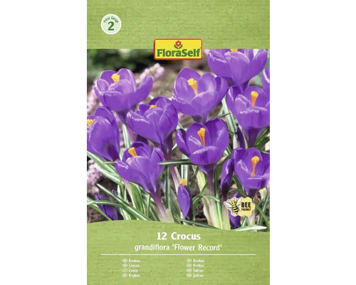 Blumenzwiebel Krokus FloraSelf 'Flower Record' 12 Stück Packung Krokusse der Sorte 'Flower Record' mit zwölf Stück und dem FloraSelf Logo.