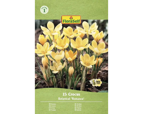 Blumenzwiebel Krokus FloraSelf 'Romance' 15 Stück Verpackung mit 15 Krokussen der Sorte Botanical 'Romance' von FloraSelf