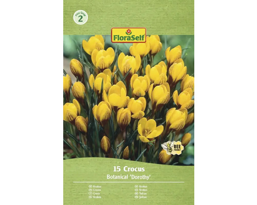 Blumenzwiebel Krokus FloraSelf 'Dorothy' 15 Stück Packung Krokusse der Sorte Botanical Dorothy